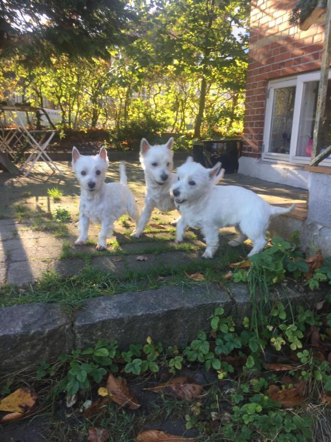 Birkerod Rolighedsvej 14A Bed & Breakfast Luaran gambar